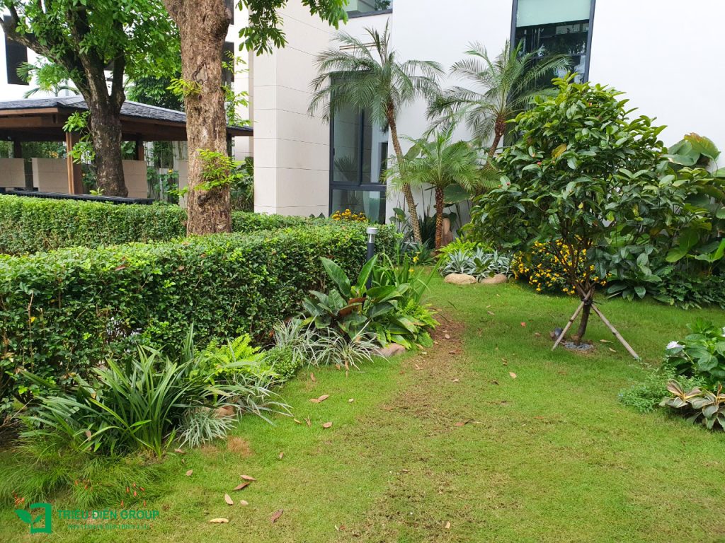 Giải pháp thiết kế sân vườn biệt thự đẹp tại Ecopark – Tinh tế, hiện đại và khác biệt 27 Thiết kế thi công sân vườn trọn gói tại hà nội
