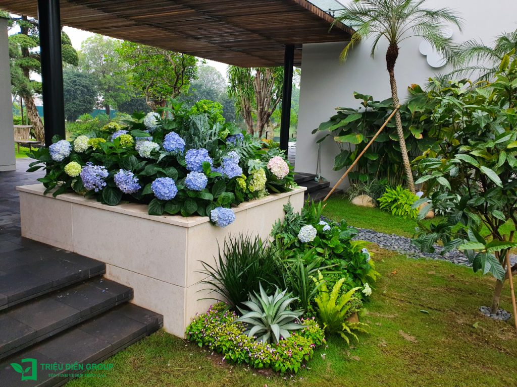 Giải pháp thiết kế sân vườn biệt thự đẹp tại Ecopark – Tinh tế, hiện đại và khác biệt 30 Thiết kế thi công sân vườn trọn gói tại hà nội