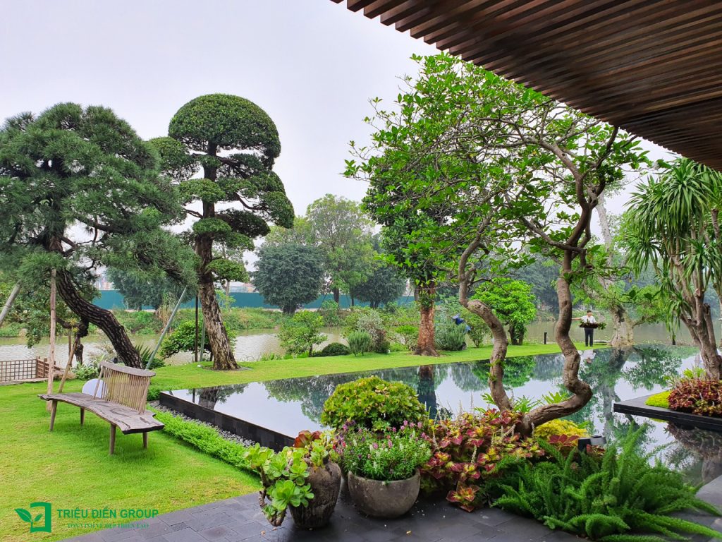 Giải pháp thiết kế sân vườn biệt thự đẹp tại Ecopark – Tinh tế, hiện đại và khác biệt 33 Thiết kế thi công sân vườn trọn gói tại hà nội
