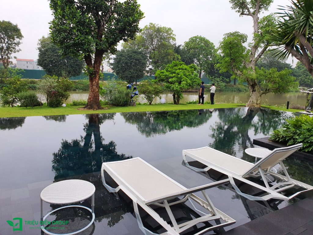 Giải pháp thiết kế sân vườn biệt thự đẹp tại Ecopark – Tinh tế, hiện đại và khác biệt 23 Thiết kế thi công sân vườn trọn gói tại hà nội