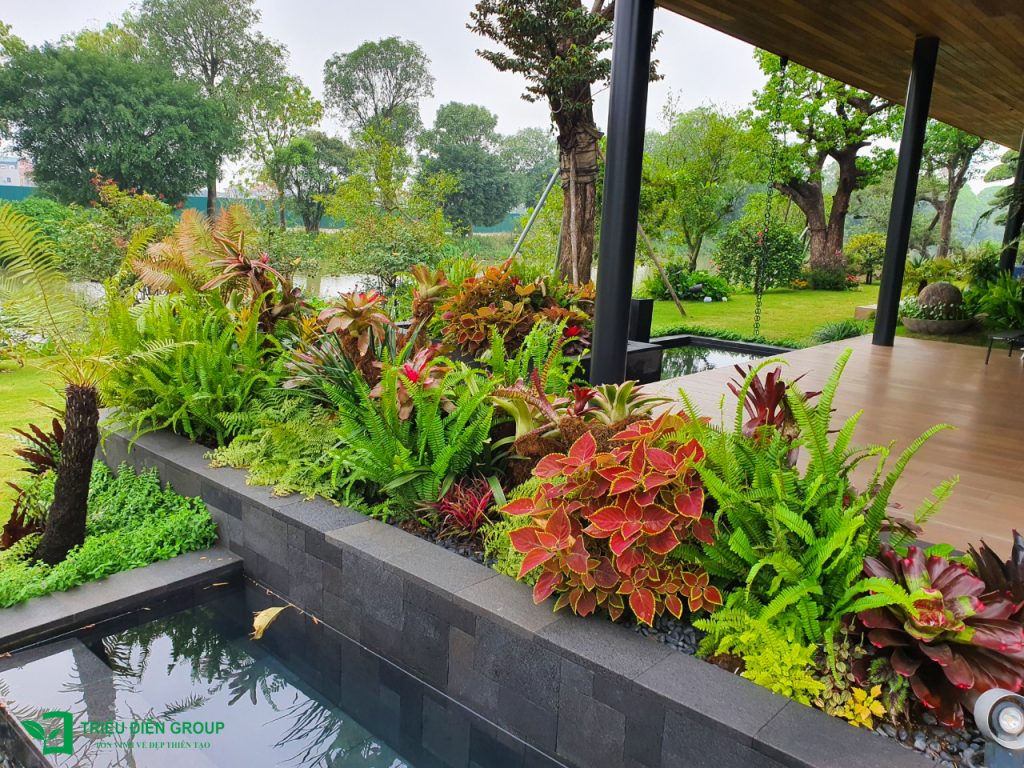 Giải pháp thiết kế sân vườn biệt thự đẹp tại Ecopark – Tinh tế, hiện đại và khác biệt 31 Thiết kế thi công sân vườn trọn gói tại hà nội