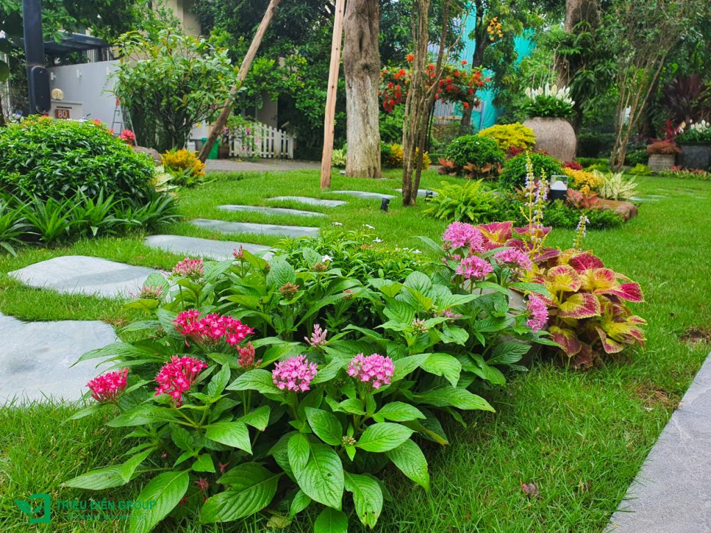 Giải pháp thiết kế sân vườn biệt thự đẹp tại Ecopark – Tinh tế, hiện đại và khác biệt 36 Thiết kế thi công sân vườn trọn gói tại hà nội