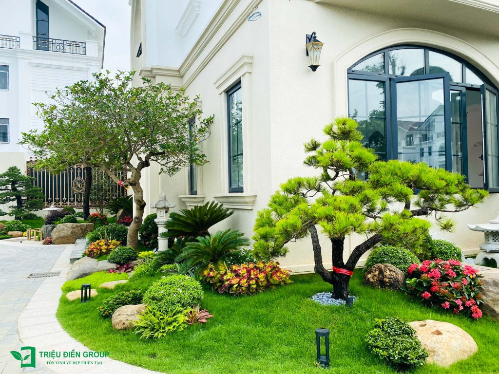 Mẫu sân vườn biệt thự tam lập đẹp: Dự án Mạnh Đức Victory nổi bật với thiết kế tinh tế & giàu cảm xúc 16 Thiết kế thi công sân vườn trọn gói tại hà nội