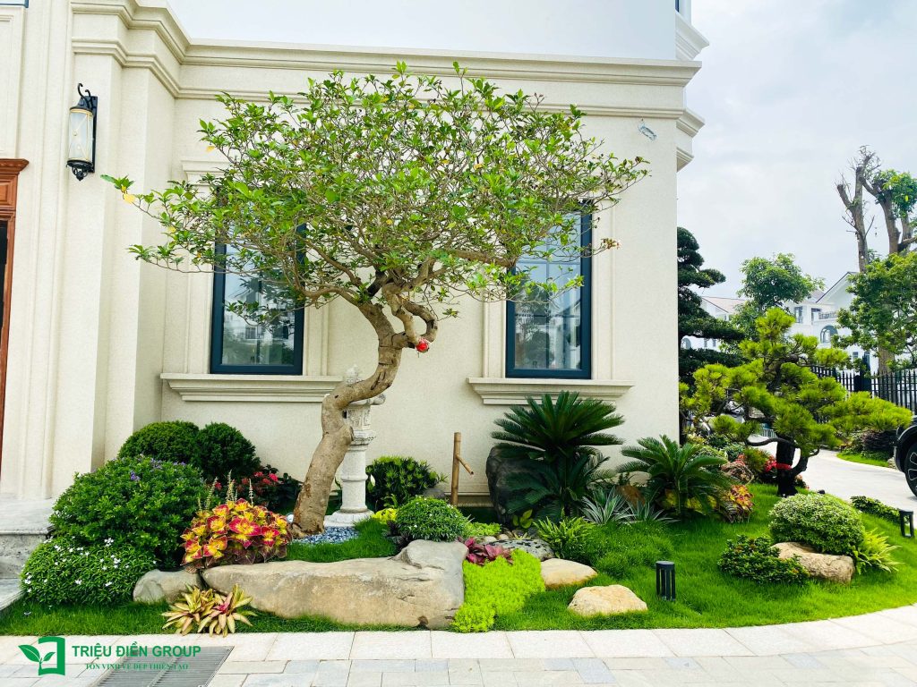 Mẫu sân vườn biệt thự tam lập đẹp: Dự án Mạnh Đức Victory nổi bật với thiết kế tinh tế & giàu cảm xúc 18 Thiết kế thi công sân vườn trọn gói tại hà nội