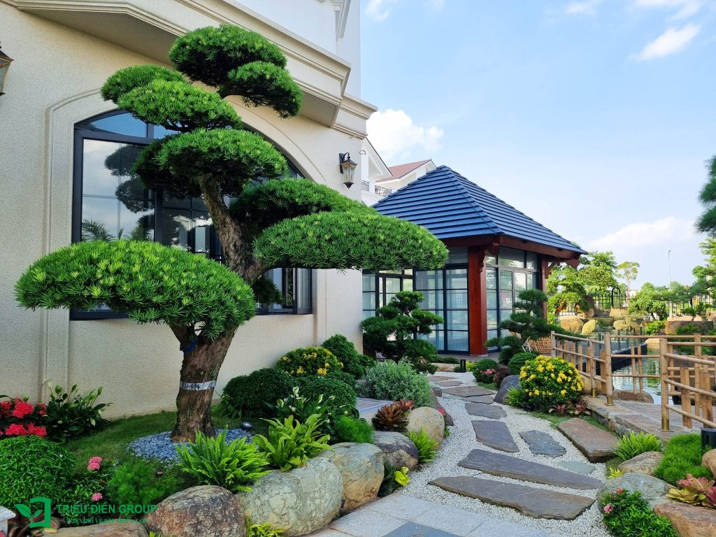 Mẫu sân vườn biệt thự tam lập đẹp: Dự án Mạnh Đức Victory nổi bật với thiết kế tinh tế & giàu cảm xúc 11 Thiết kế thi công sân vườn trọn gói tại hà nội