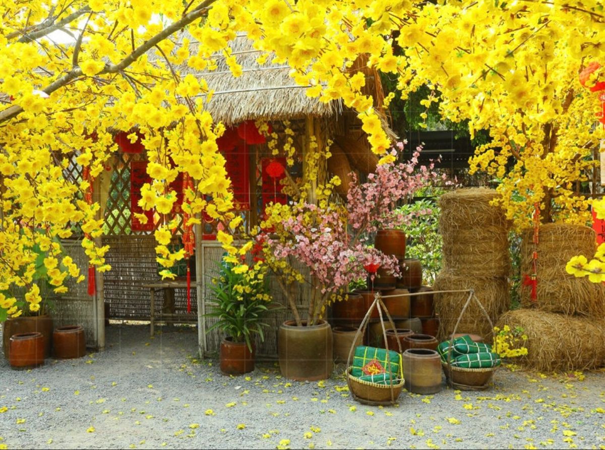 5 Phong cách trang trí sân vườn ngày Tết xu hướng 2026 30 5 Phong cách trang trí sân vườn ngày Tết xu hướng 2026