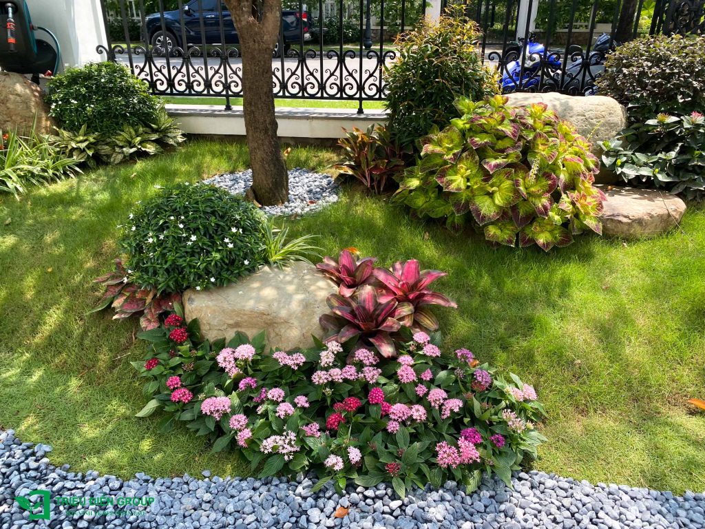 5 Phong cách trang trí sân vườn ngày Tết xu hướng 2026 20 Thiết kế thi công sân vườn trọn gói tại hà nội