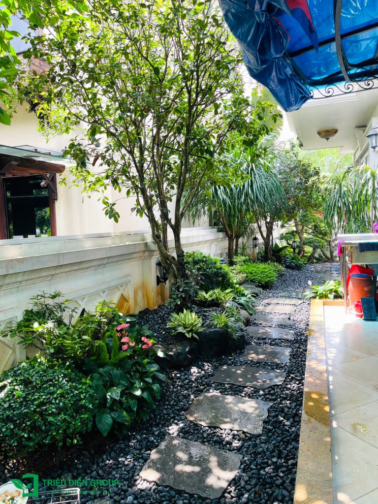 Thiết kế thi công sân vườn trọn gói tại hà nội