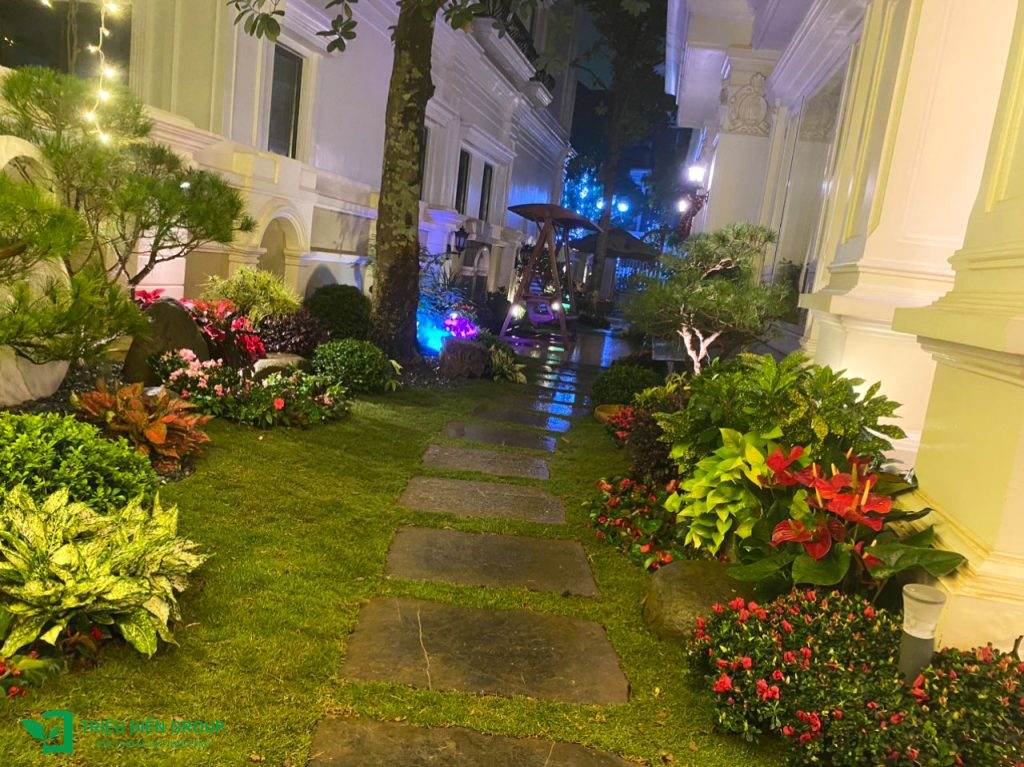 Thiết kế thi công sân vườn trọn gói tại hà nội