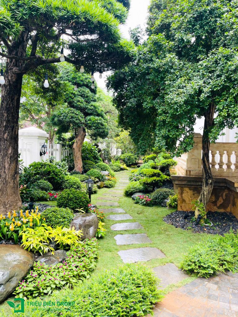 Thiết kế thi công sân vườn trọn gói tại hà nội