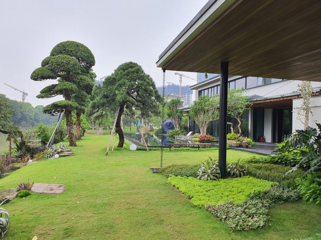 Giải pháp thiết kế sân vườn biệt thự đẹp tại Ecopark – Tinh tế, hiện đại và khác biệt 22 Thiết kế thi công sân vườn trọn gói tại hà nội