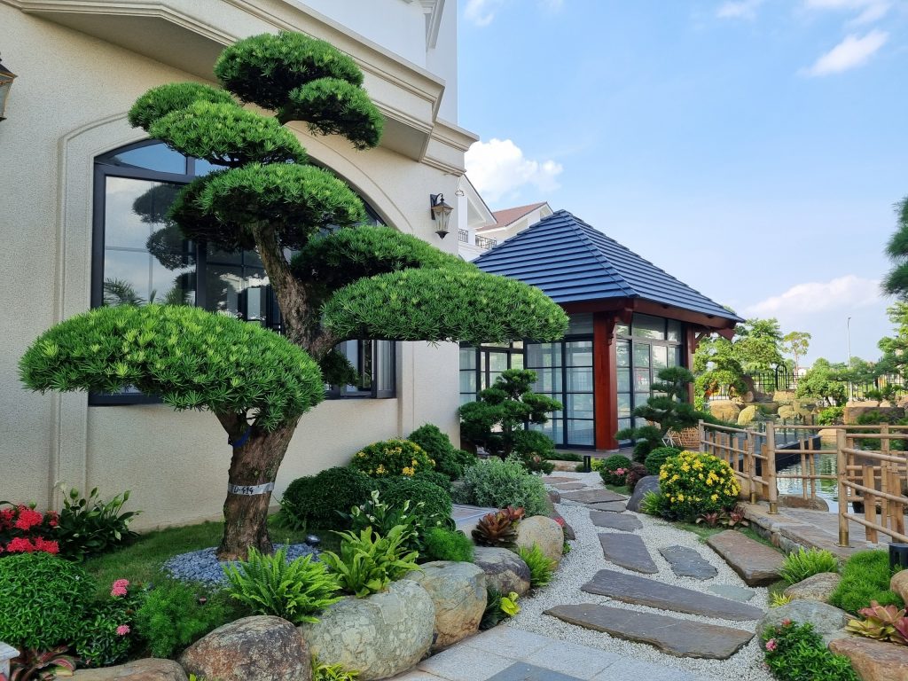 5 Phong cách trang trí sân vườn ngày Tết xu hướng 2026 18 Thiết kế thi công sân vườn trọn gói tại hà nội