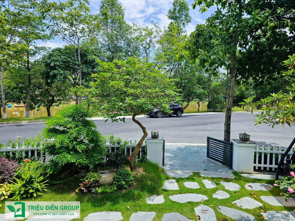 Thi công sân vườn tại T.P Hồ Chí Minh trọn gói - Báo giá chi tiết 2026 30 Thiết kế thi công sân vườn trọn gói tại hà nội