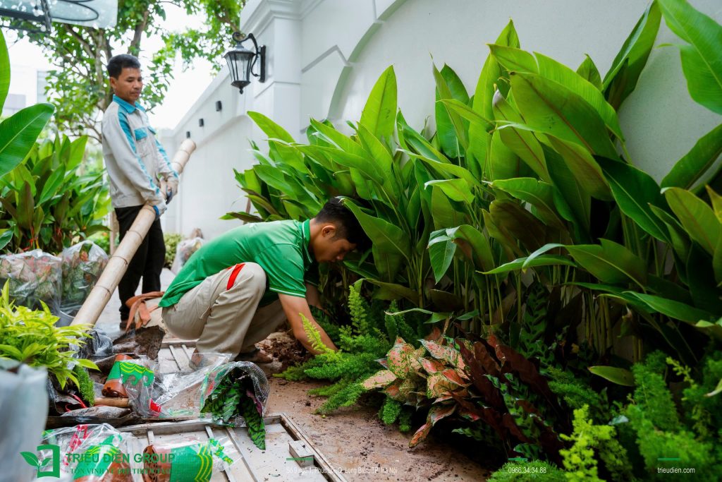 Thi công sân vườn tại T.P Hồ Chí Minh trọn gói - Báo giá chi tiết 2026 6 Thiết kế thi công sân vườn trọn gói tại hà nội