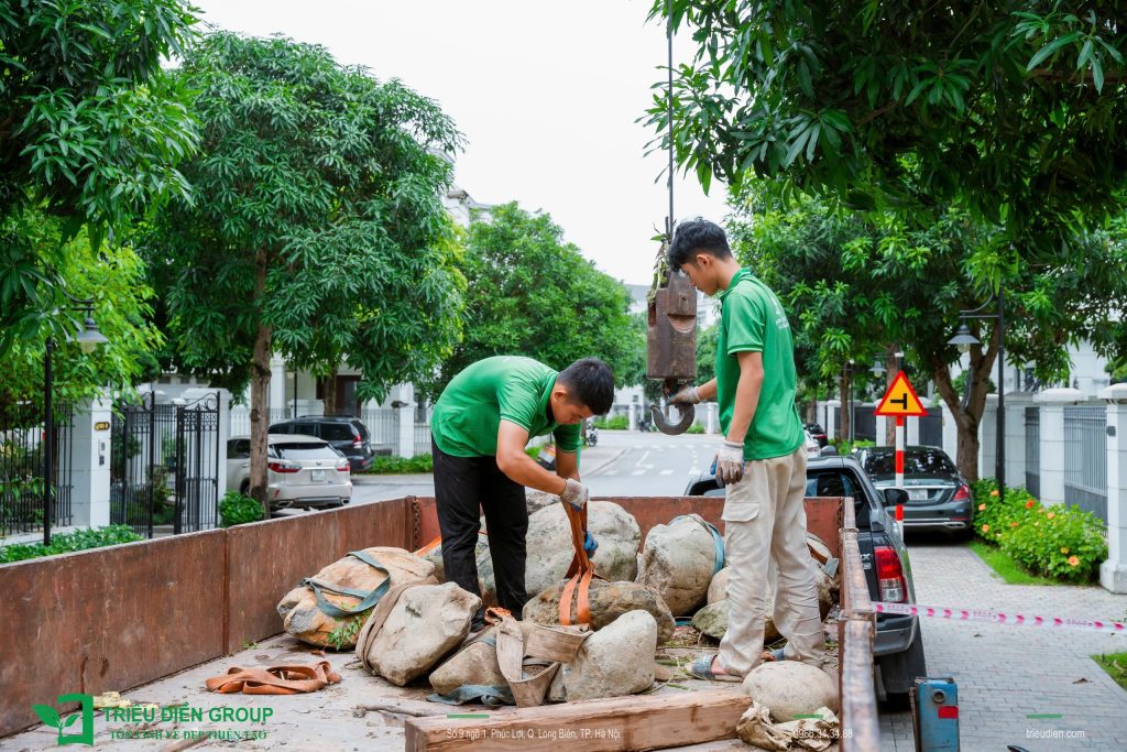 Thi công sân vườn tại T.P Hồ Chí Minh trọn gói - Báo giá chi tiết 2026 5 Thiết kế thi công sân vườn trọn gói tại hà nội