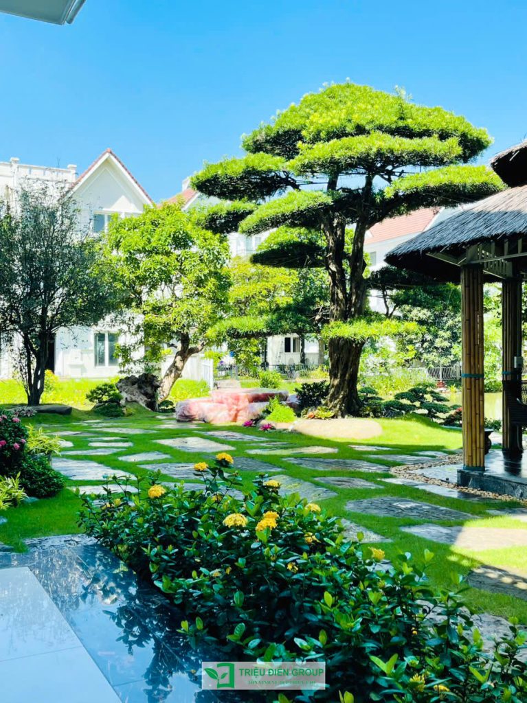 Thiết kế thi công sân vườn trọn gói tại hà nội