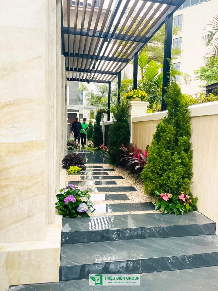 Thiết kế thi công sân vườn trọn gói tại hà nội