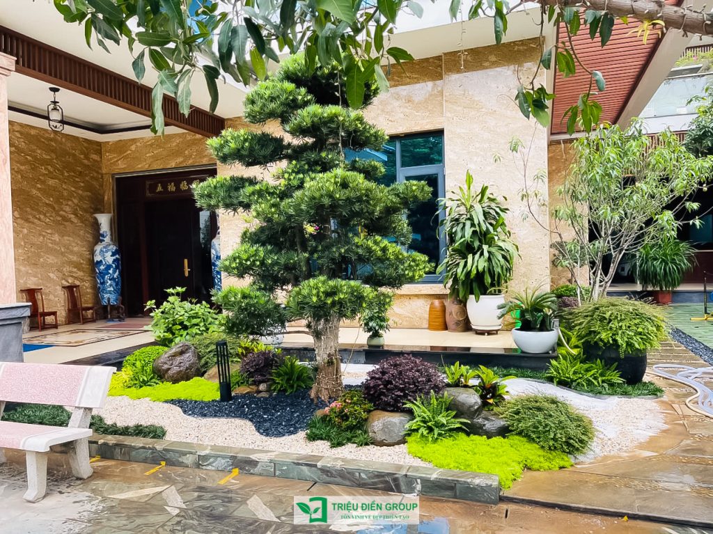 Thiết kế thi công sân vườn trọn gói tại hà nội