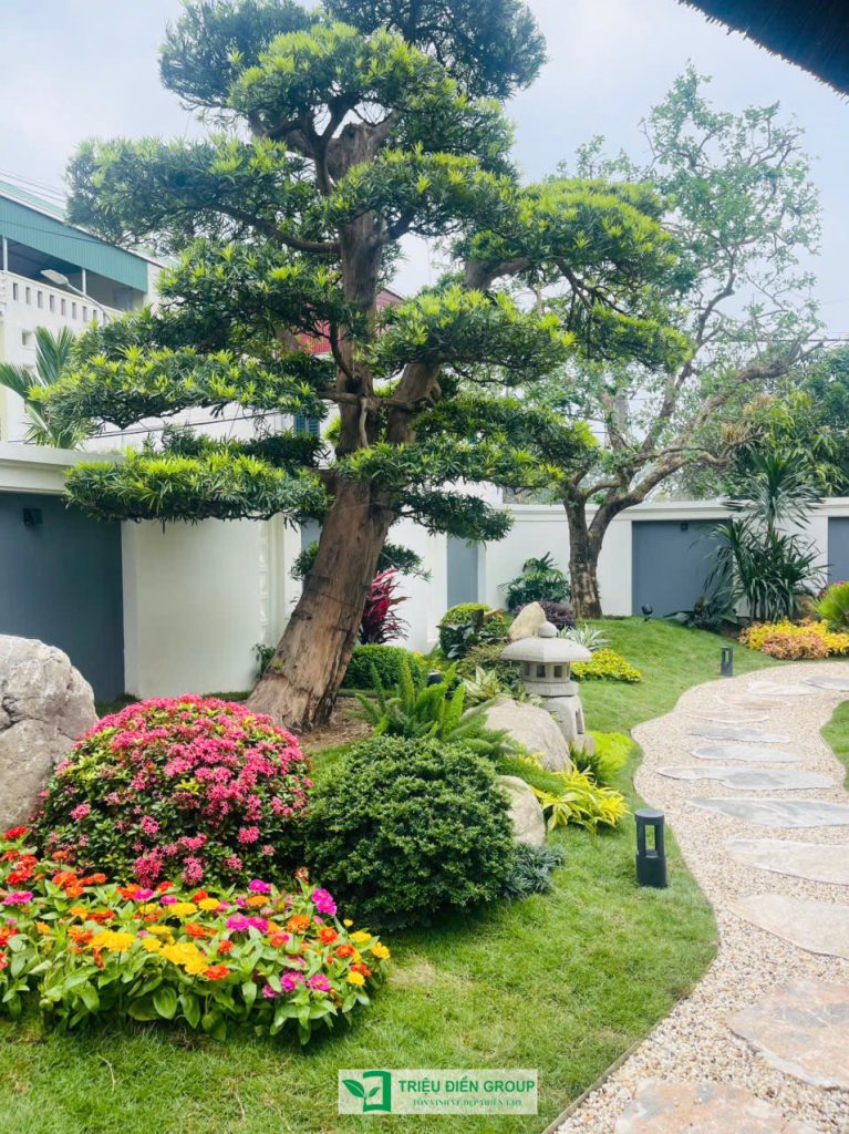 Thiết kế thi công sân vườn trọn gói tại hà nội
