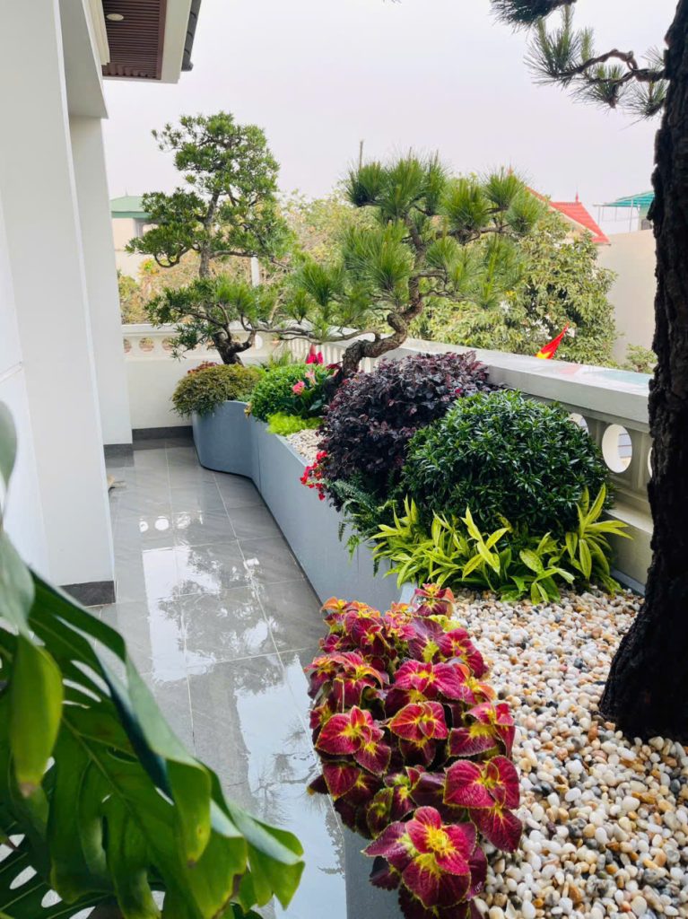 Thiết kế thi công sân vườn trọn gói tại hà nội