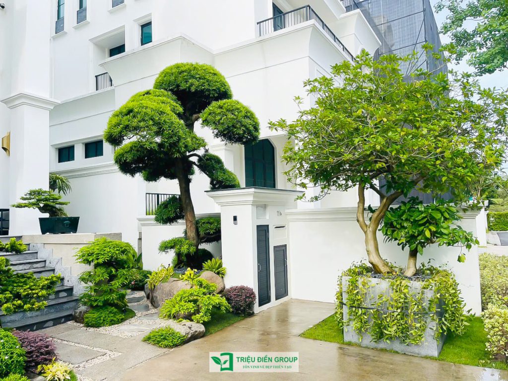 Thiết kế thi công sân vườn trọn gói tại hà nội