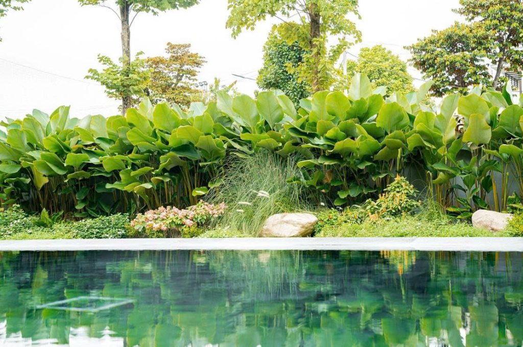 Thiết kế thi công sân vườn trọn gói tại hà nội