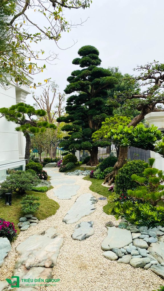 Mẫu sân vườn biệt thự tại Hoa Phượng, Vinhomes Riverside -Thiết kế sân vườn biệt thự cao cấp 18 Thiết kế thi công sân vườn trọn gói tại hà nội