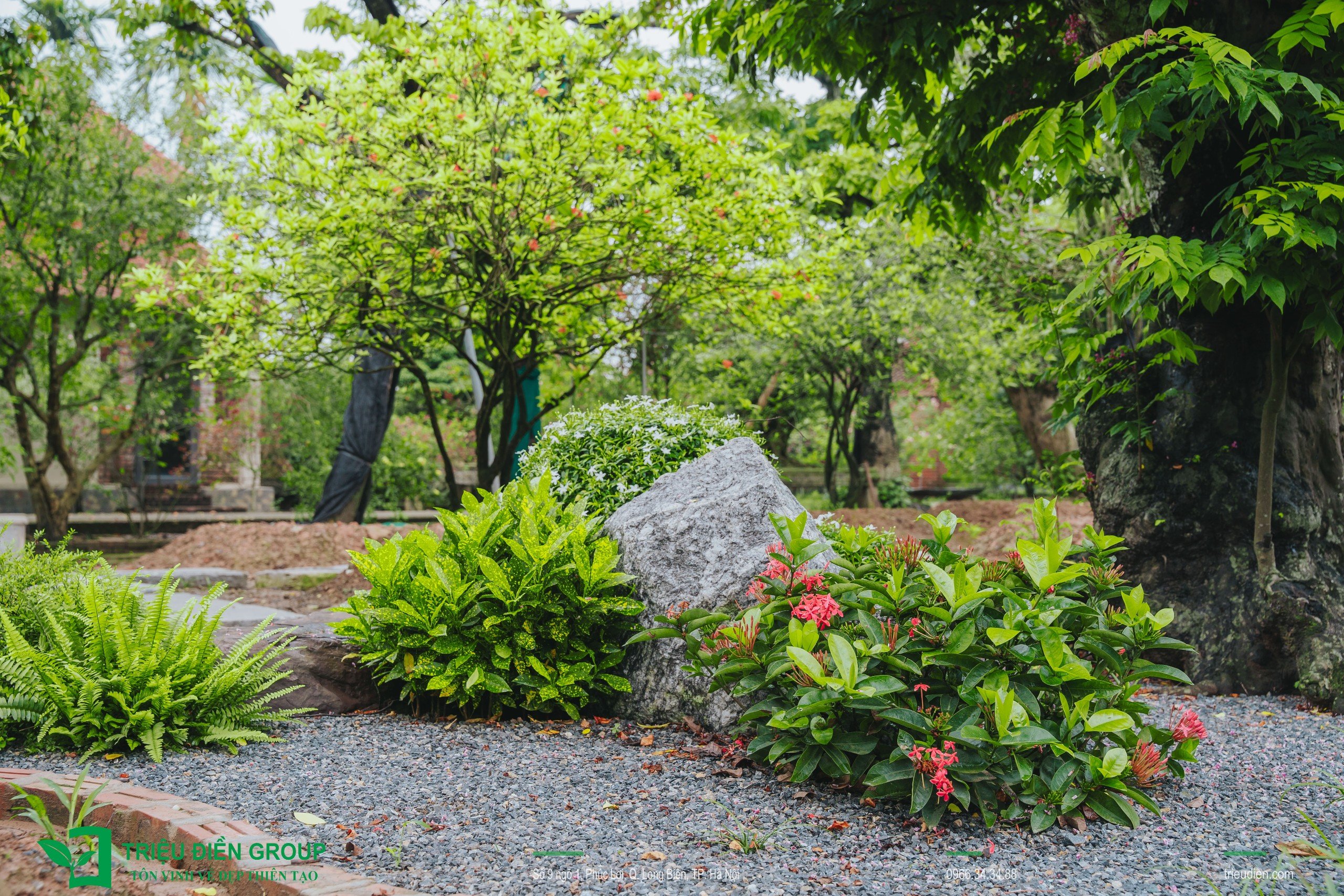 Cảnh quan sân vườn biệt thự tại Thường Tín, Hà Nội – Khoảng lặng sinh thái giữa nhịp sống hiện đại 10 Image 10