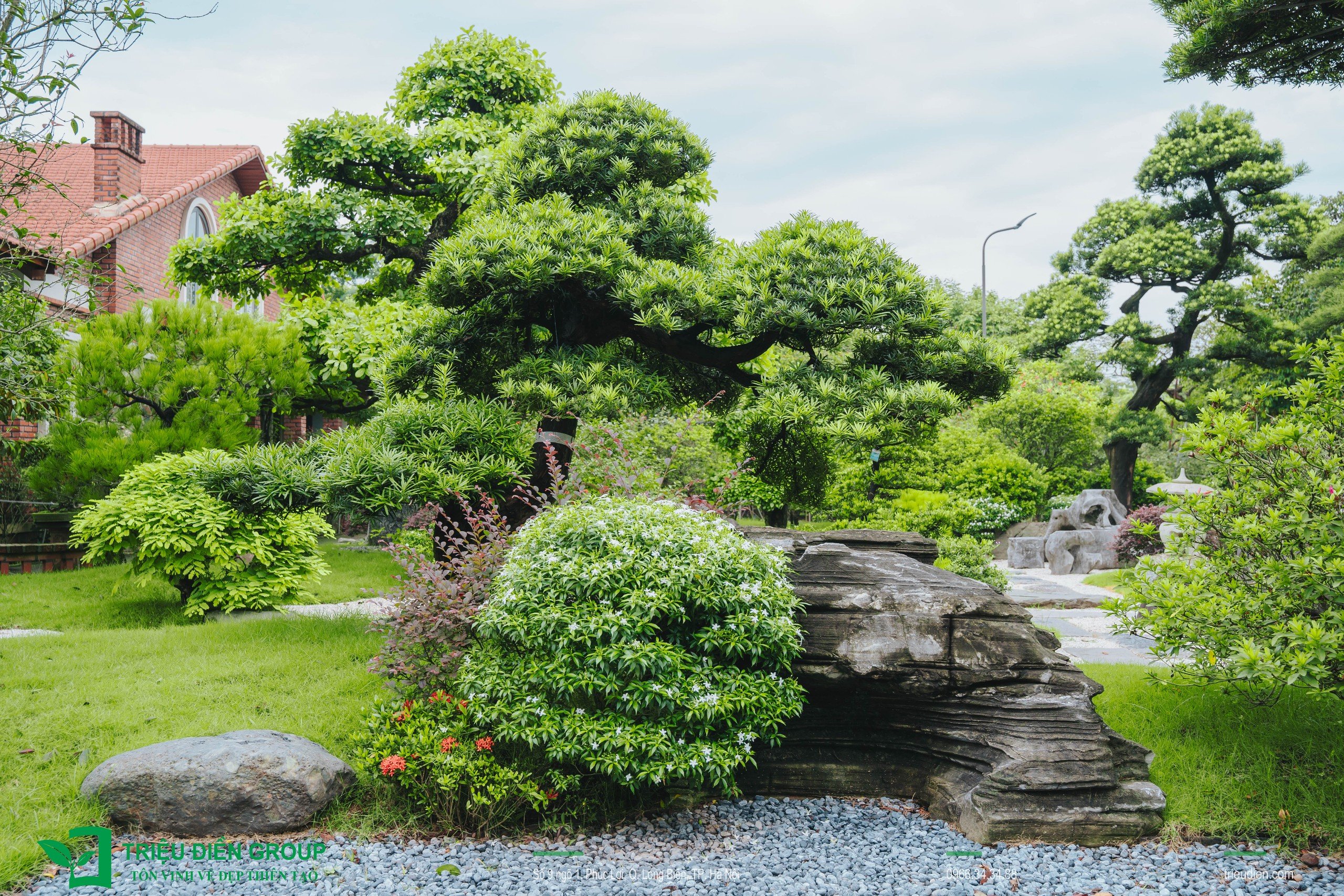 Cảnh quan sân vườn biệt thự tại Thường Tín, Hà Nội – Khoảng lặng sinh thái giữa nhịp sống hiện đại 8 Image 8