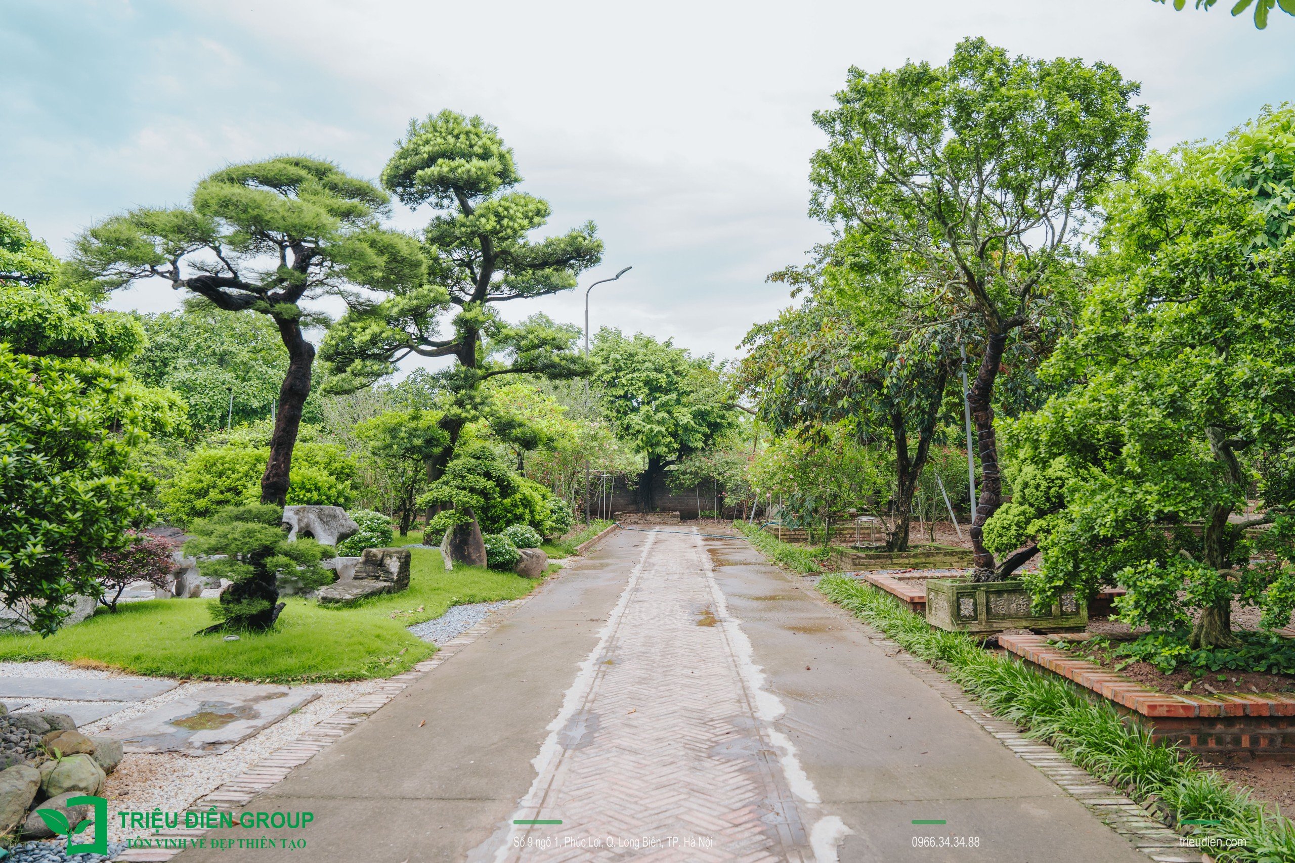 Cảnh quan sân vườn biệt thự tại Thường Tín, Hà Nội – Khoảng lặng sinh thái giữa nhịp sống hiện đại 11 Image 11