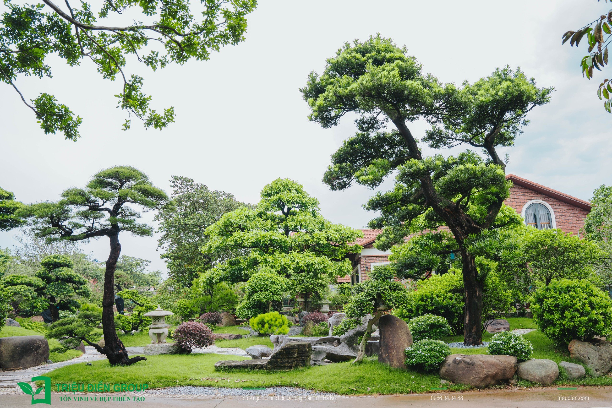 Cảnh quan sân vườn biệt thự tại Thường Tín, Hà Nội – Khoảng lặng sinh thái giữa nhịp sống hiện đại 12 Image 12