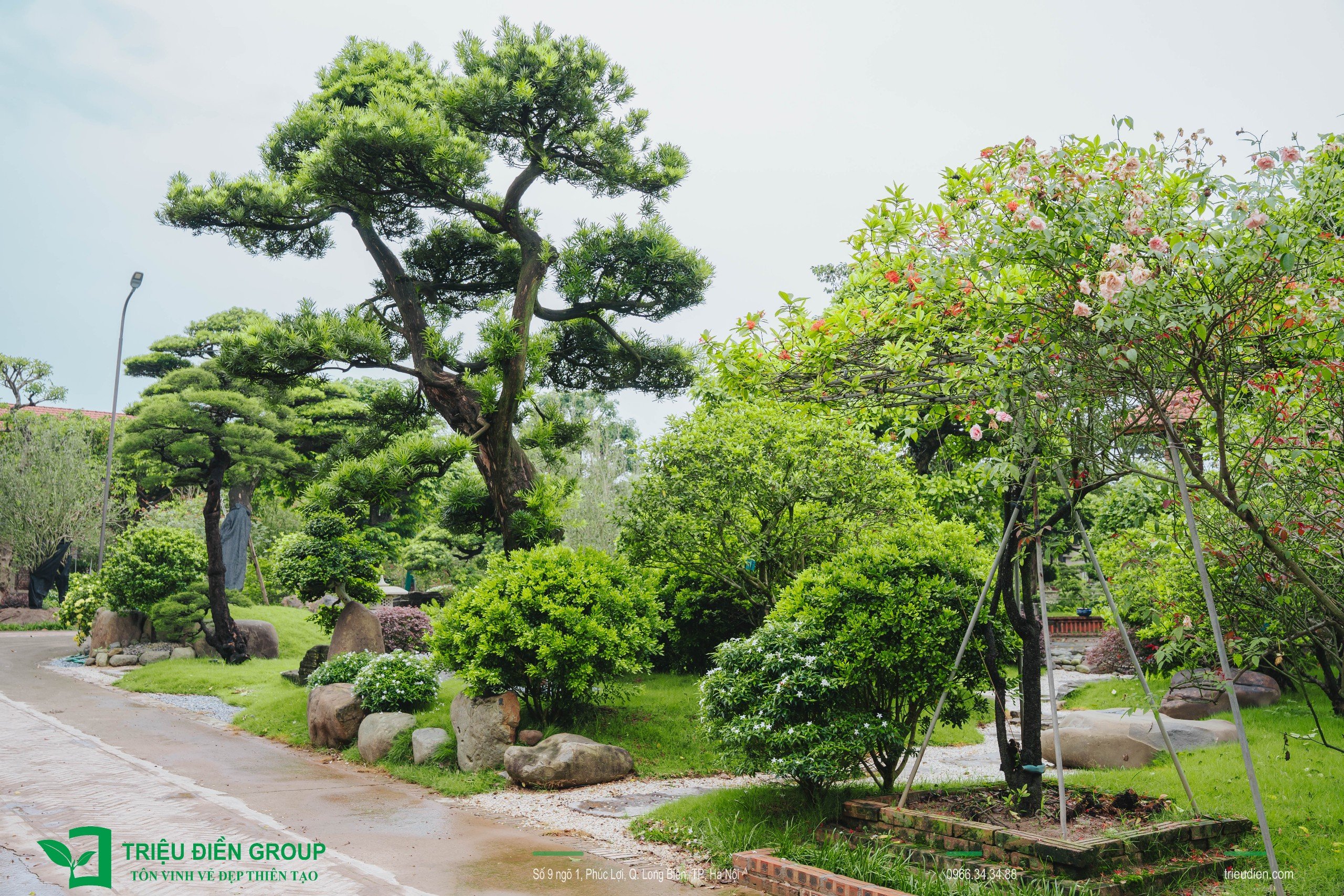 Cảnh quan sân vườn biệt thự tại Thường Tín, Hà Nội – Khoảng lặng sinh thái giữa nhịp sống hiện đại 7 Image 7