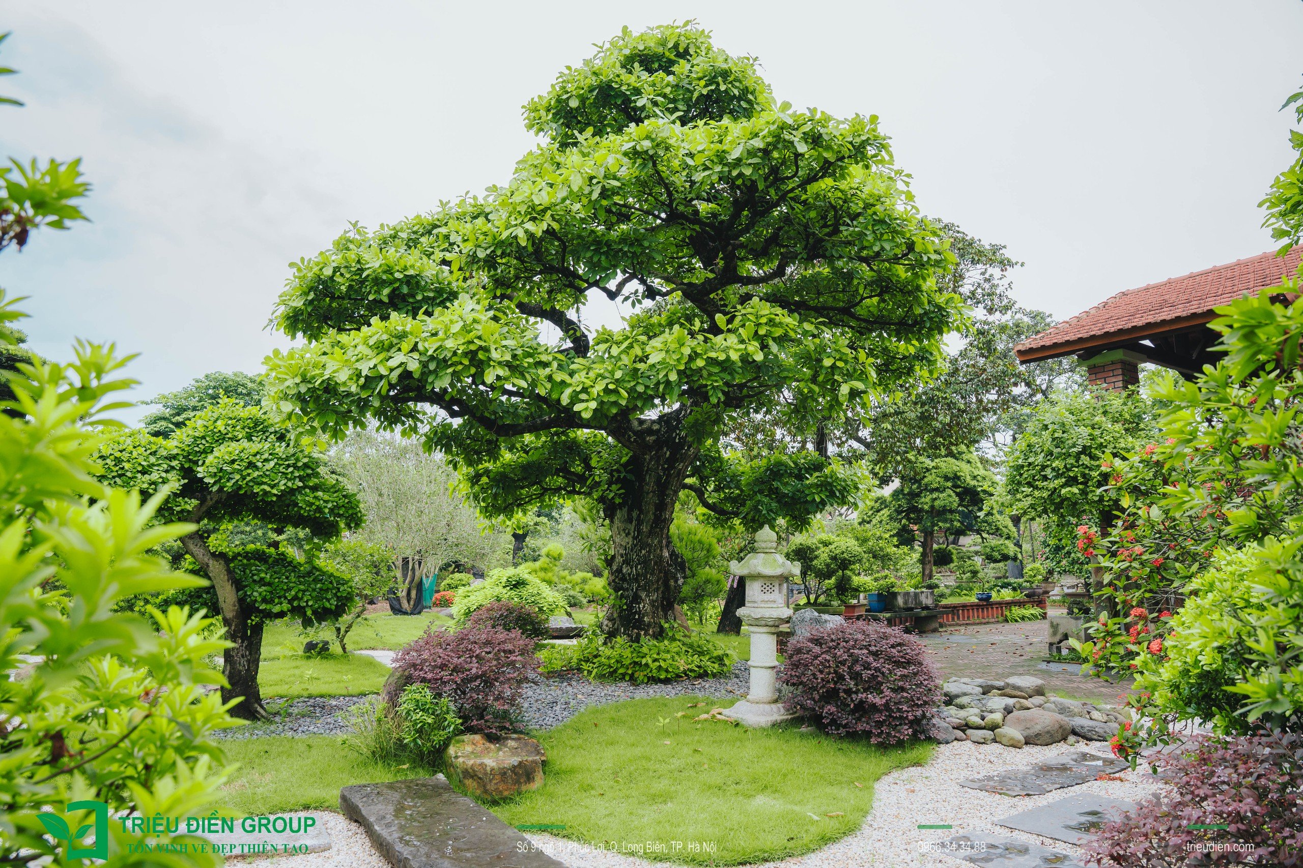 Cảnh quan sân vườn biệt thự tại Thường Tín, Hà Nội – Khoảng lặng sinh thái giữa nhịp sống hiện đại 6 Image 6