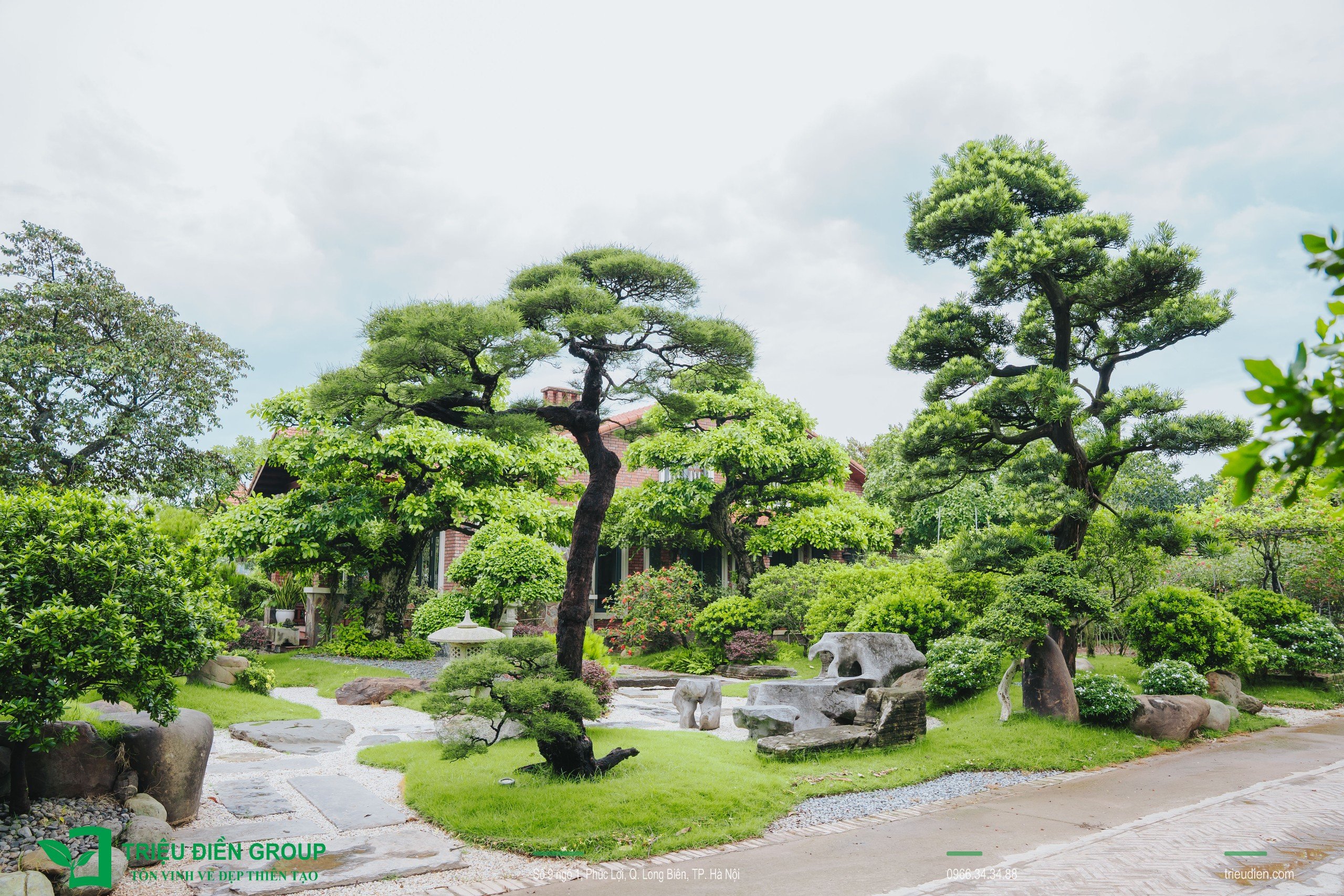 Cảnh quan sân vườn biệt thự tại Thường Tín, Hà Nội – Khoảng lặng sinh thái giữa nhịp sống hiện đại 4 Image 4