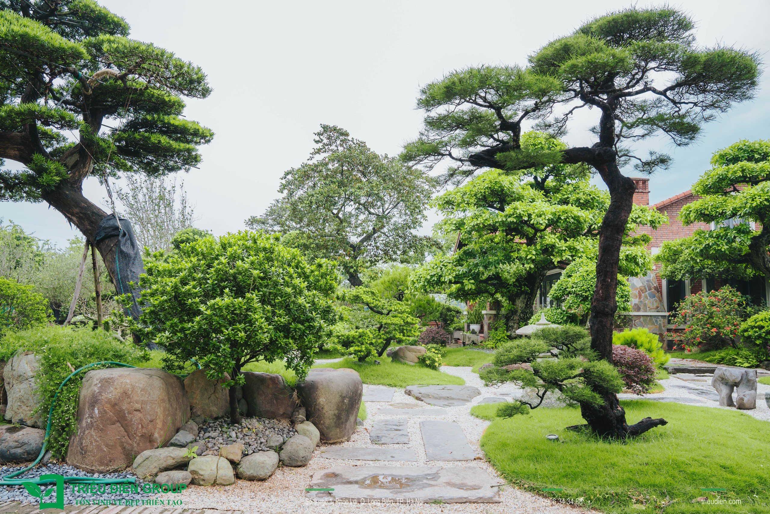Cảnh quan sân vườn biệt thự tại Thường Tín, Hà Nội – Khoảng lặng sinh thái giữa nhịp sống hiện đại 3 Image 3
