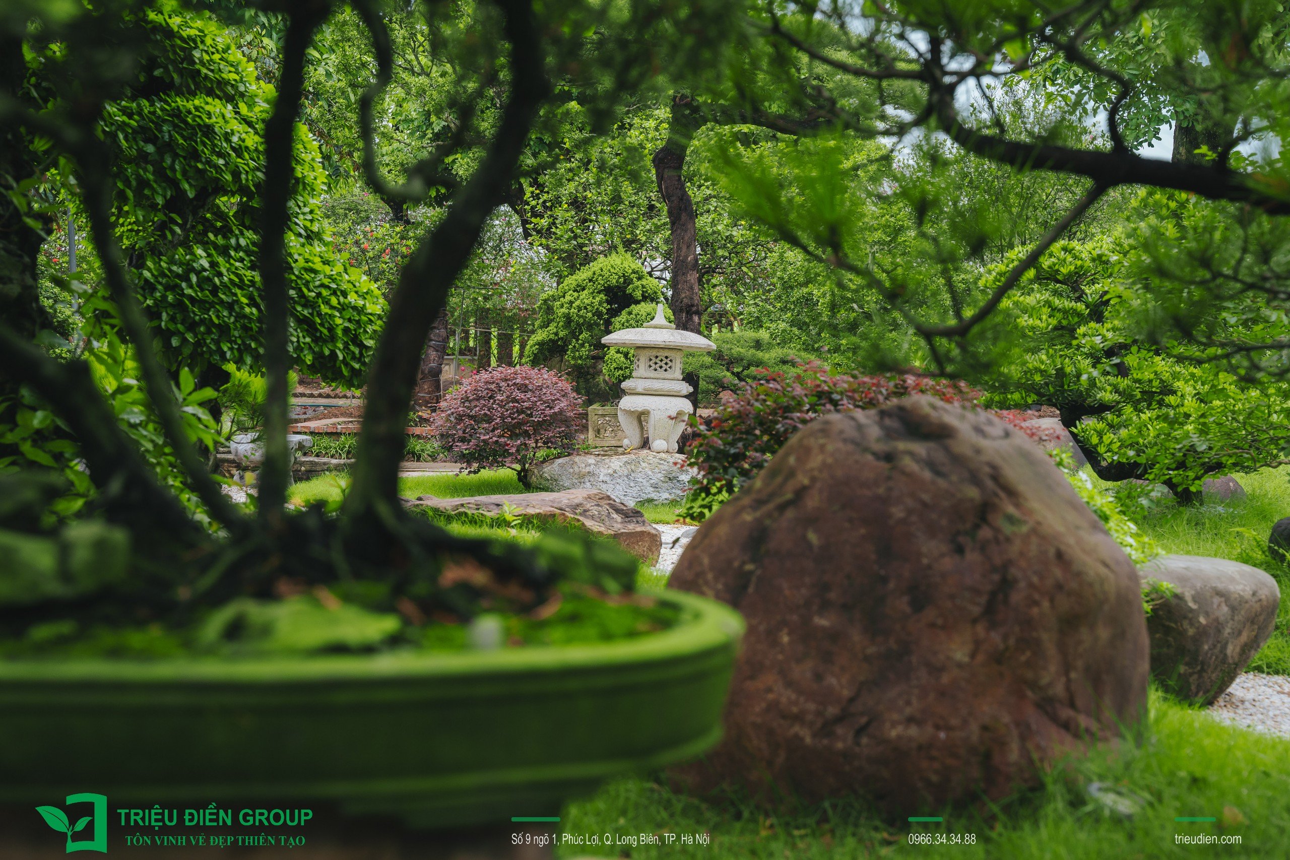 Cảnh quan sân vườn biệt thự tại Thường Tín, Hà Nội – Khoảng lặng sinh thái giữa nhịp sống hiện đại 16 Image 16