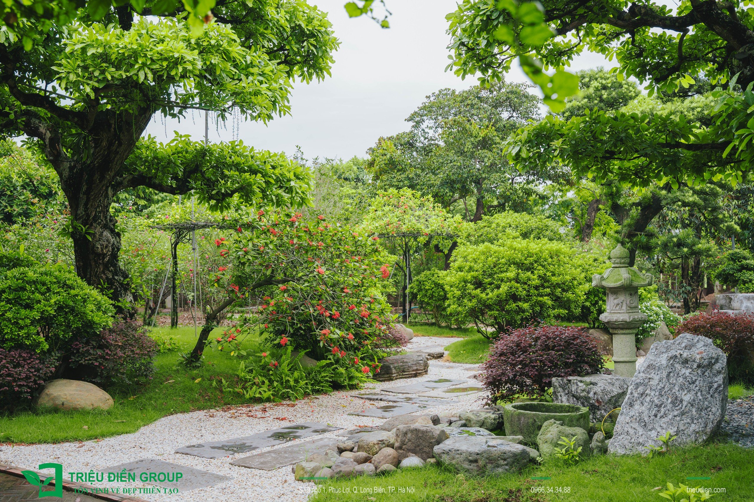 Cảnh quan sân vườn biệt thự tại Thường Tín, Hà Nội – Khoảng lặng sinh thái giữa nhịp sống hiện đại 17 Image 17