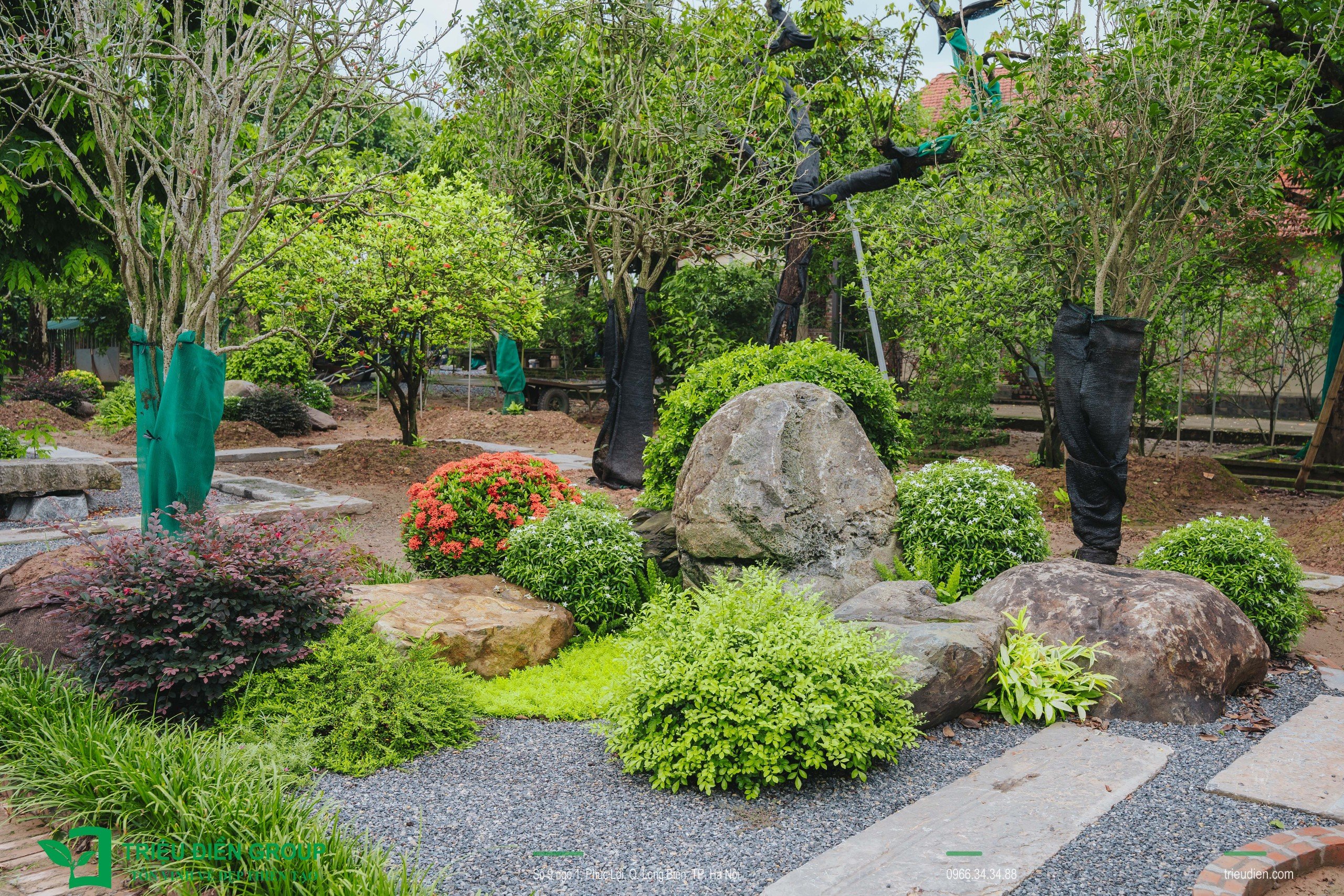 Cảnh quan sân vườn biệt thự tại Thường Tín, Hà Nội – Khoảng lặng sinh thái giữa nhịp sống hiện đại 20 Image 20