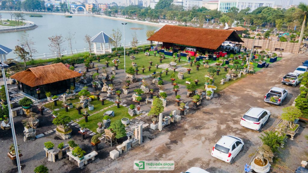 Triển lãm cây cảnh - CLB Mộc Thạch Kỳ Viên sinh hoạt định kỳ Tháng 2/2026 2 Thiết kế thi công sân vườn trọn gói tại hà nội