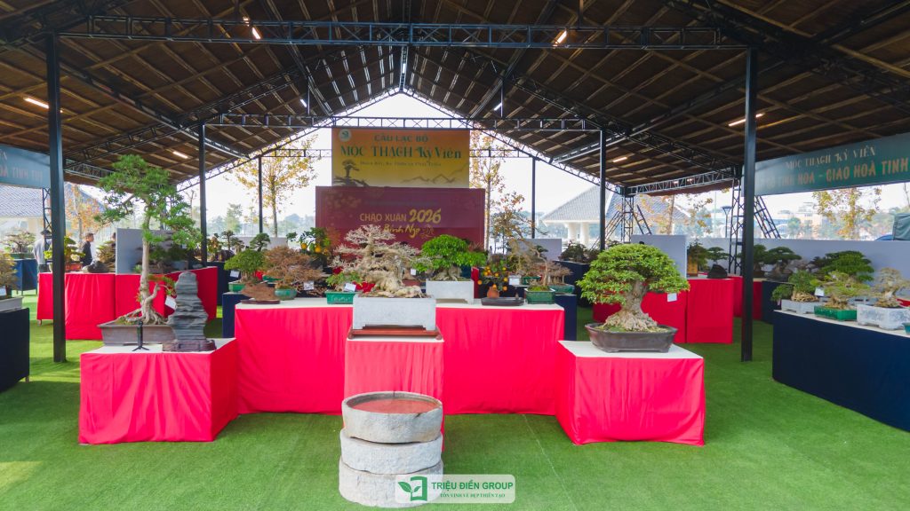 Triển lãm cây cảnh - CLB Mộc Thạch Kỳ Viên sinh hoạt định kỳ Tháng 2/2026 5 Thiết kế thi công sân vườn trọn gói tại hà nội