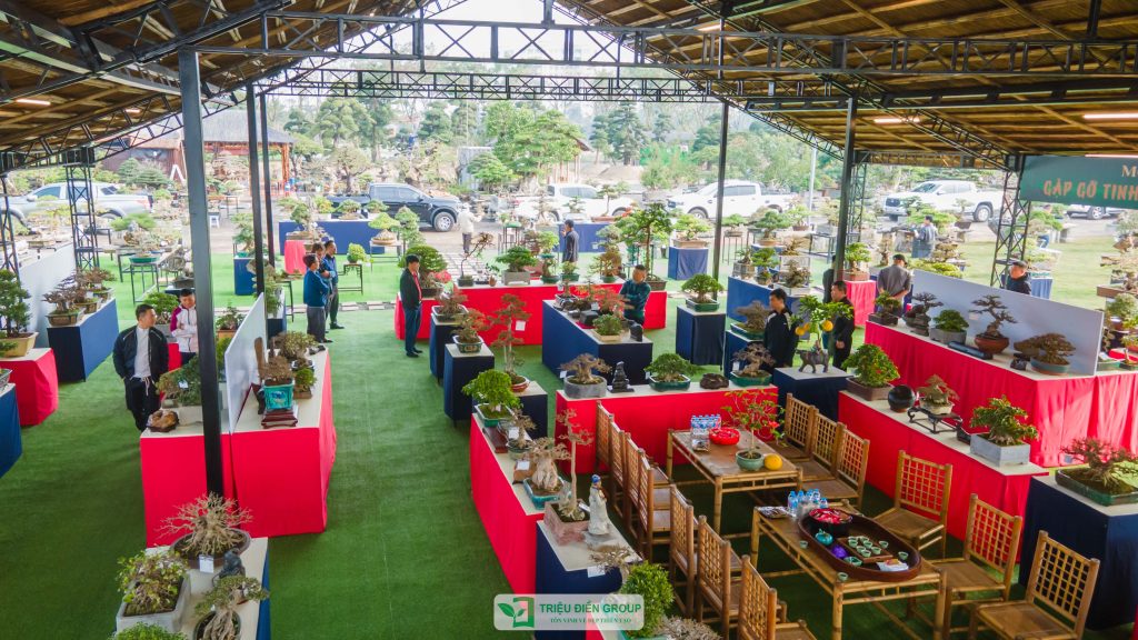 Triển lãm cây cảnh - CLB Mộc Thạch Kỳ Viên sinh hoạt định kỳ Tháng 2/2026 6 Thiết kế thi công sân vườn trọn gói tại hà nội