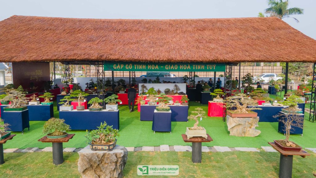 Triển lãm cây cảnh - CLB Mộc Thạch Kỳ Viên sinh hoạt định kỳ Tháng 2/2026 7 Thiết kế thi công sân vườn trọn gói tại hà nội