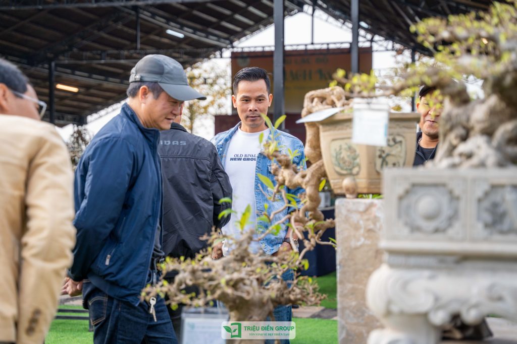 Triển lãm cây cảnh - CLB Mộc Thạch Kỳ Viên sinh hoạt định kỳ Tháng 2/2026 20 Thiết kế thi công sân vườn trọn gói tại hà nội