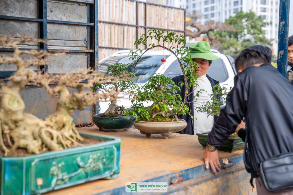 Triển lãm cây cảnh - CLB Mộc Thạch Kỳ Viên sinh hoạt định kỳ Tháng 2/2026 21 Thiết kế thi công sân vườn trọn gói tại hà nội