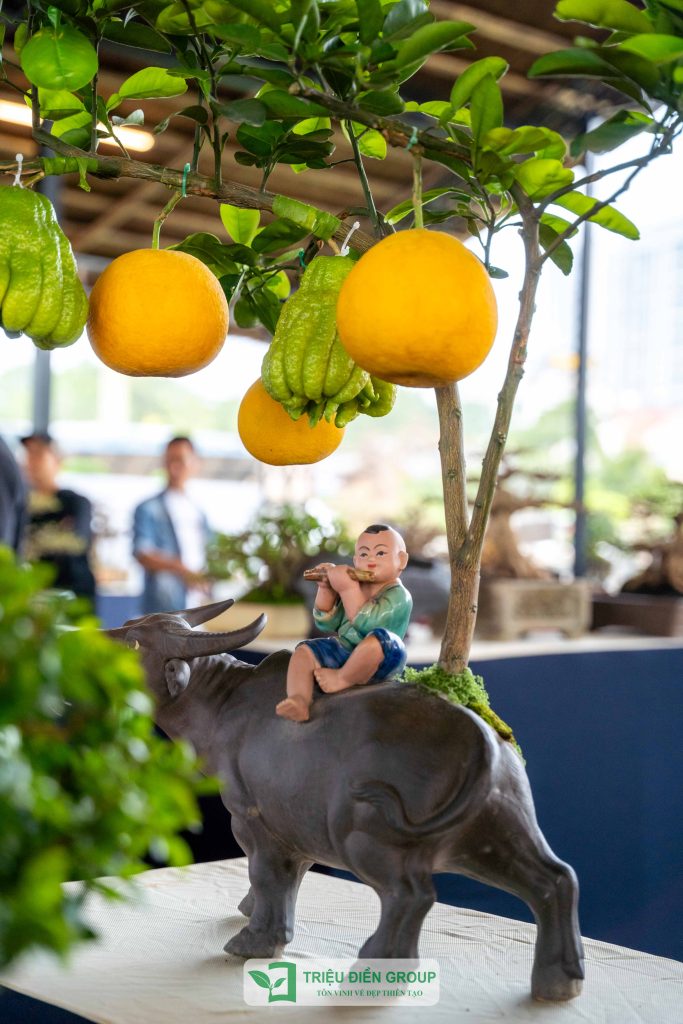 Triển lãm cây cảnh - CLB Mộc Thạch Kỳ Viên sinh hoạt định kỳ Tháng 2/2026 18 Thiết kế thi công sân vườn trọn gói tại hà nội