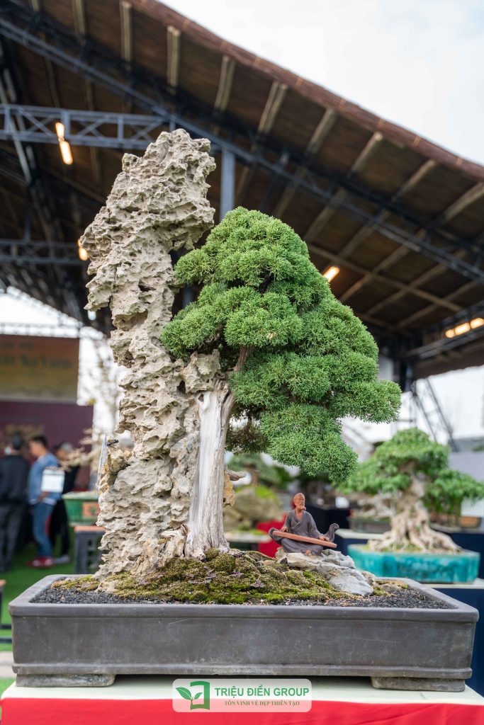 Triển lãm cây cảnh - CLB Mộc Thạch Kỳ Viên sinh hoạt định kỳ Tháng 2/2026 19 Thiết kế thi công sân vườn trọn gói tại hà nội