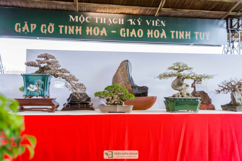 Triển lãm cây cảnh - CLB Mộc Thạch Kỳ Viên sinh hoạt định kỳ Tháng 2/2026 8 Thiết kế thi công sân vườn trọn gói tại hà nội