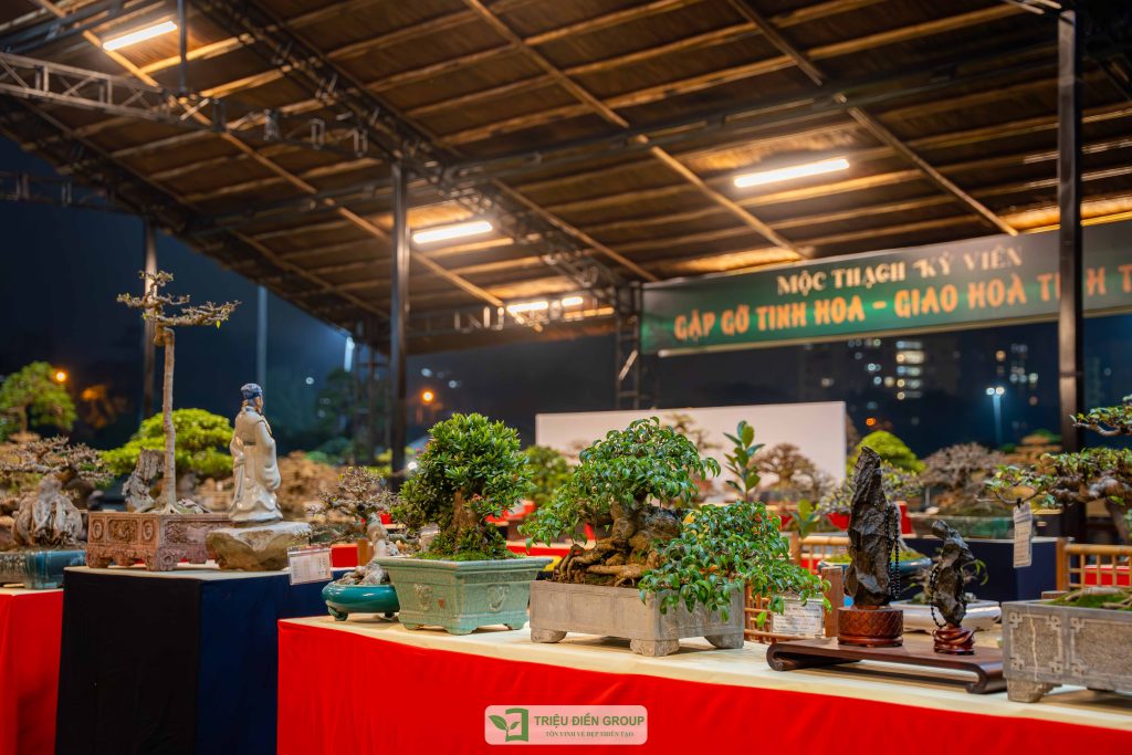 Triển lãm cây cảnh - CLB Mộc Thạch Kỳ Viên sinh hoạt định kỳ Tháng 2/2026 17 Thiết kế thi công sân vườn trọn gói tại hà nội