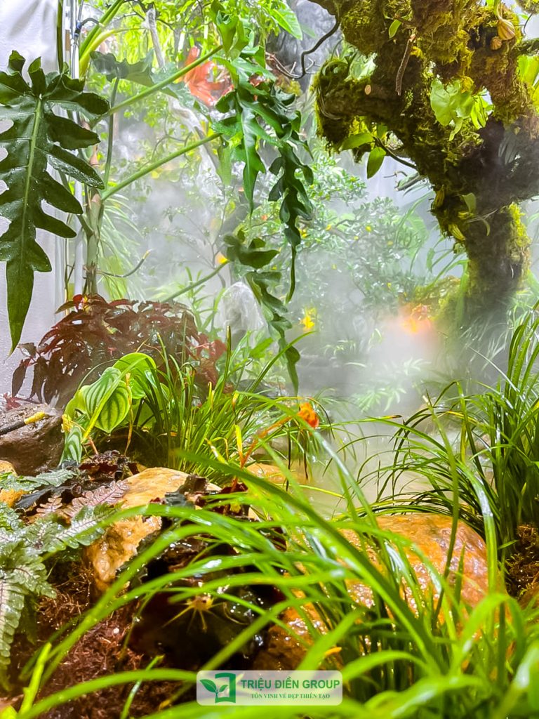 Thiết kế thi công sân vườn trọn gói tại hà nội