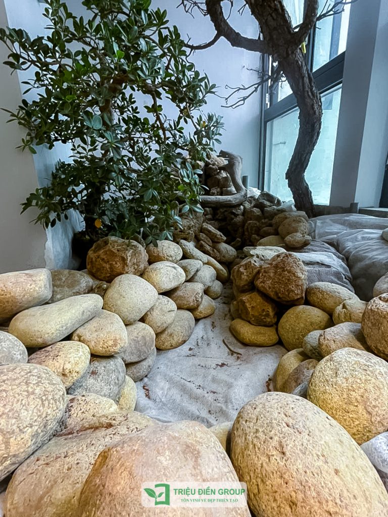 Thiết kế thi công sân vườn trọn gói tại hà nội